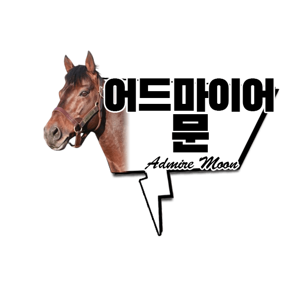 다음 경마 핫산 준비 중.jpg