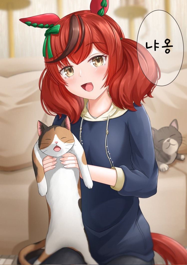 [がめる] 고양이 애호가.