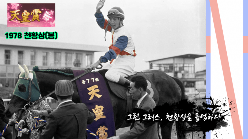 핫산)1979 아리마 기념 - 그린, 그린 그래스 오브 홈