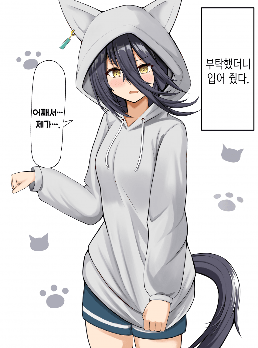 [Rinka] 맨하탄 고양이