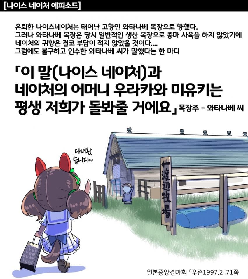 [坂崎ふれでぃ]은퇴한 나이스 네이처의 귀향