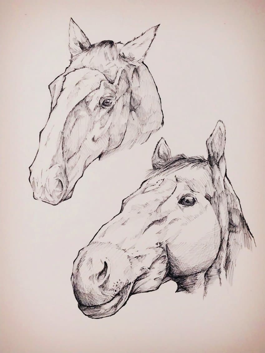 메이쇼 도토, 티엠 오페라 오 손그림