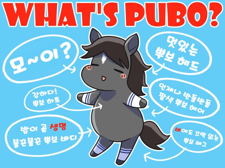 [K][핫산] 뿌보란 무엇인가?