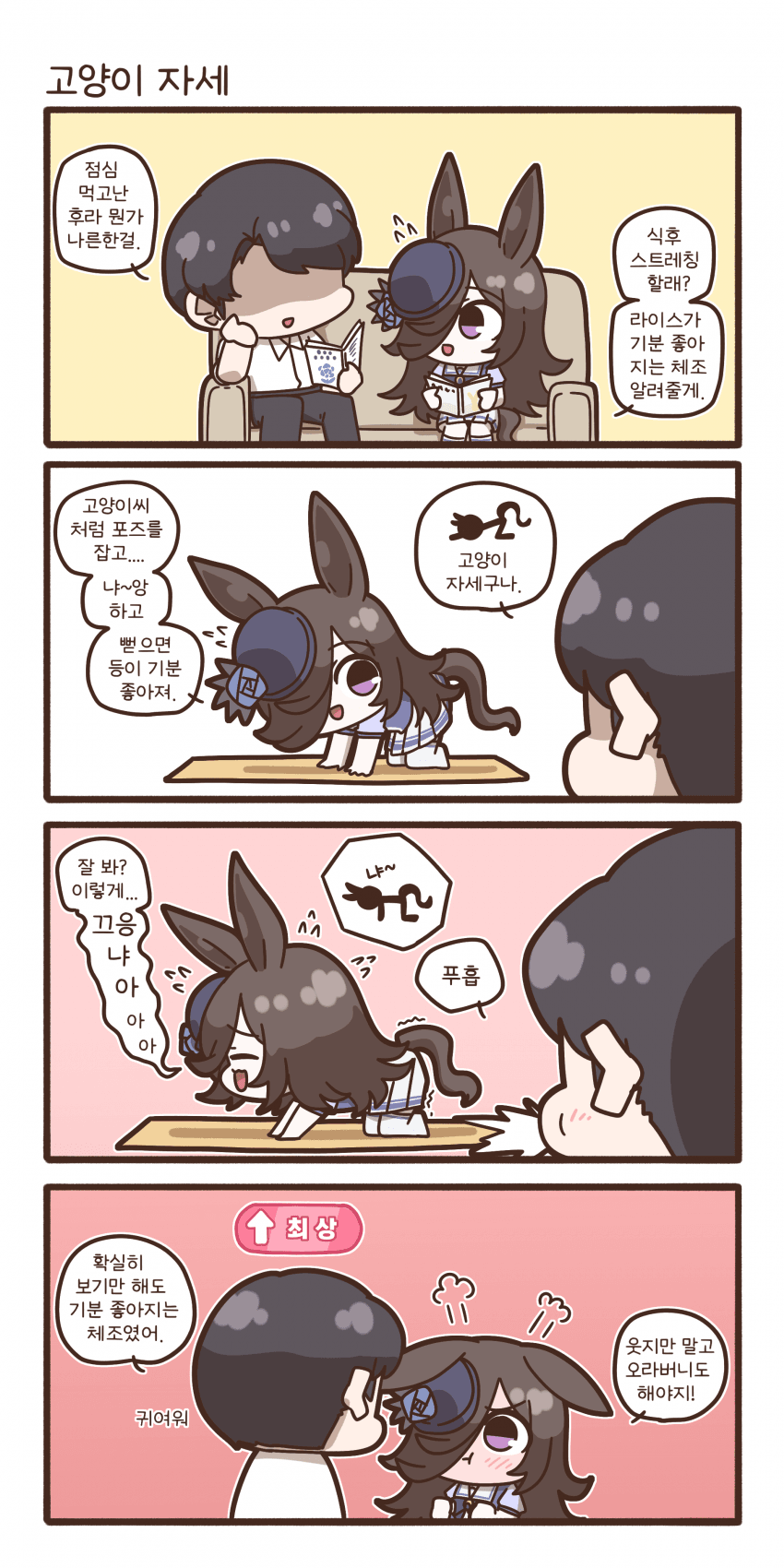 고양이 자세 라이스 샤워