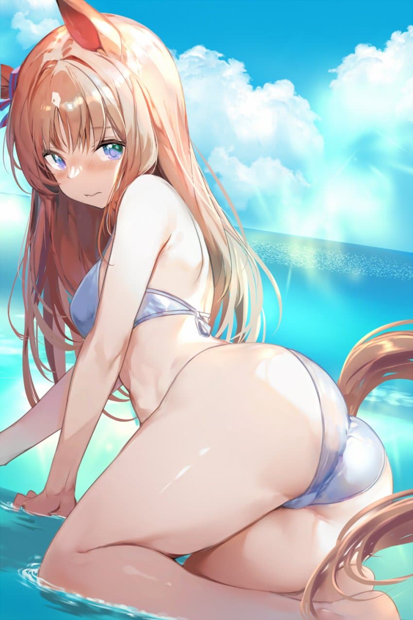 아메리카 응디