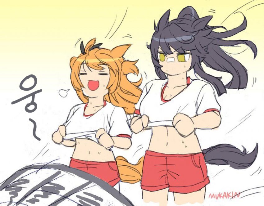 [むかきん] 여름철에 볼 수 있는 마야X브라의 모습.