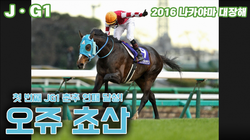 핫산) 오쥬 쵸산 「첫 번째 춘추 연패 달성」 - '16 나카야마 대장해