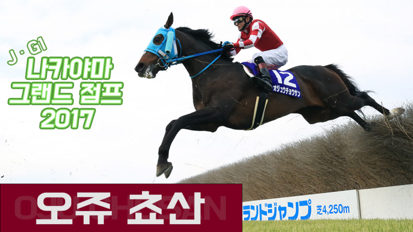 핫산) 오쥬 쵸산 「파죽지세의 3연승」 - '17 나카야마 그랜드 점프