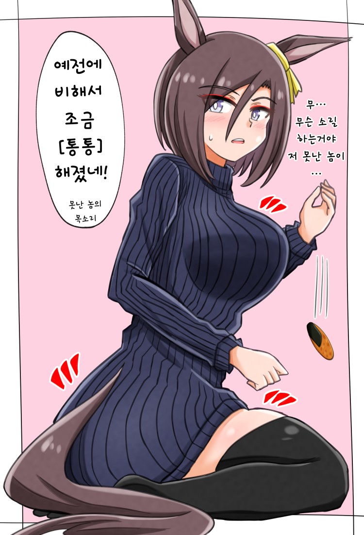 [四国犬] 은퇴 후 자기관리가 소홀해진 베로짱.