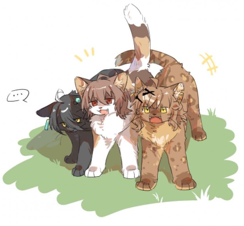 [朝川] 냥이 JAM즈