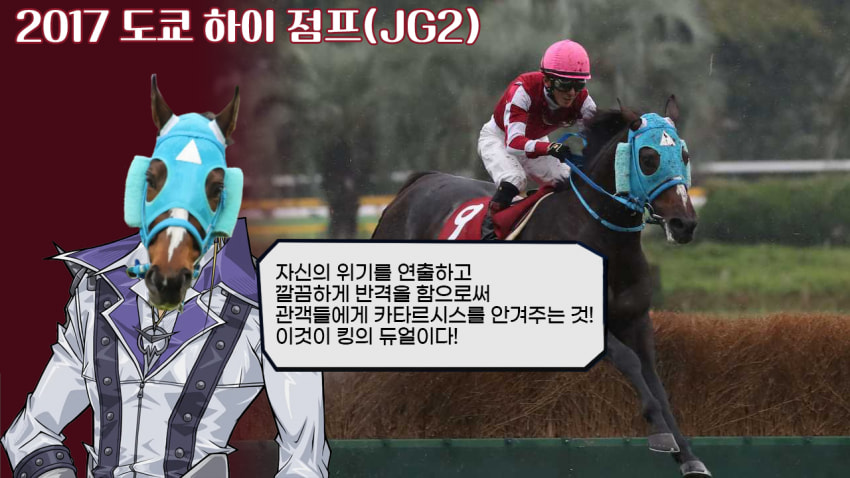다음 경마 핫산 썸네일.jpg