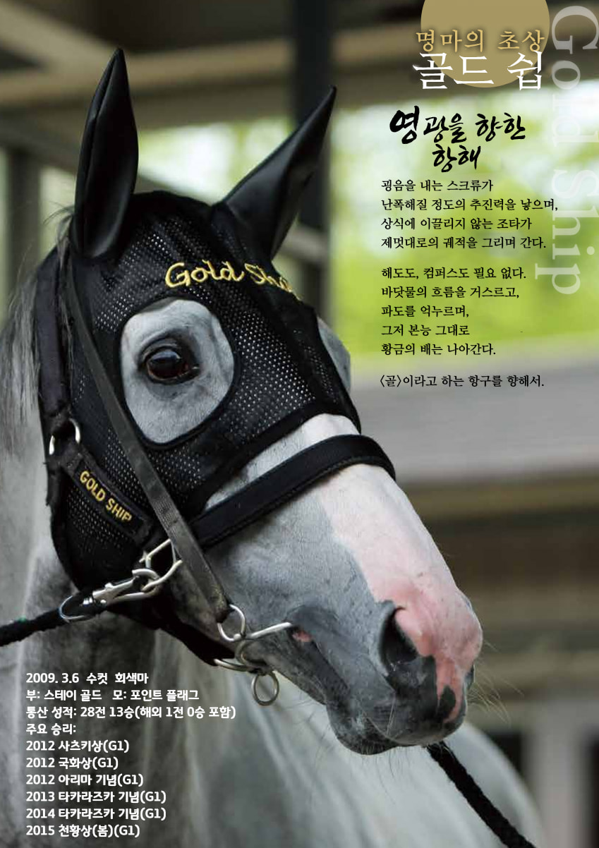핫산)명마의 초상: 골드 쉽 - 영광을 향한 항해