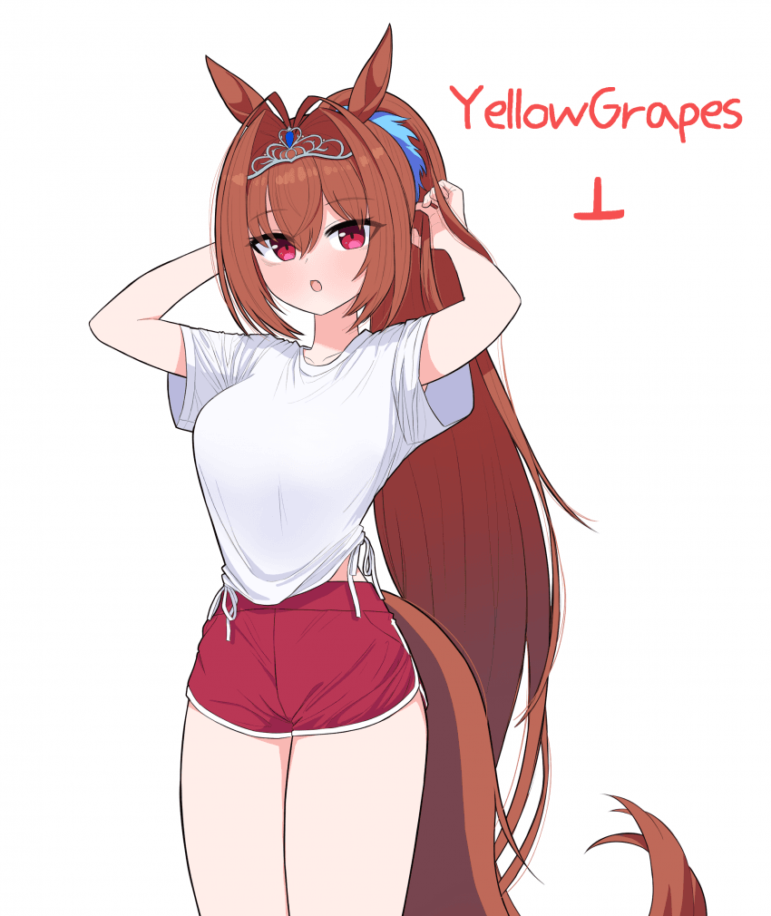 친구가 생일 기념으로 그려준 포니테일 다스카
