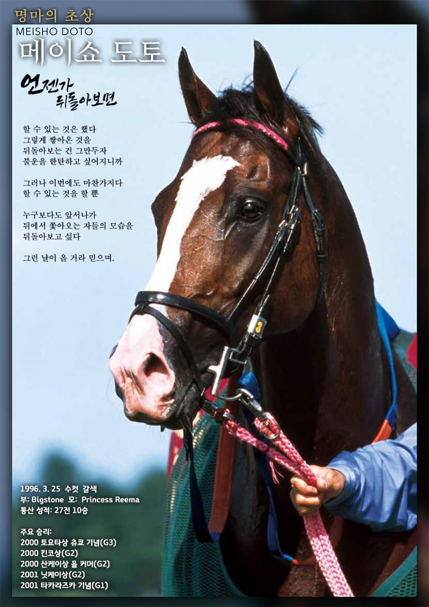 핫산)명마의 초상: 메이쇼 도토 - 언젠가 뒤돌아보면