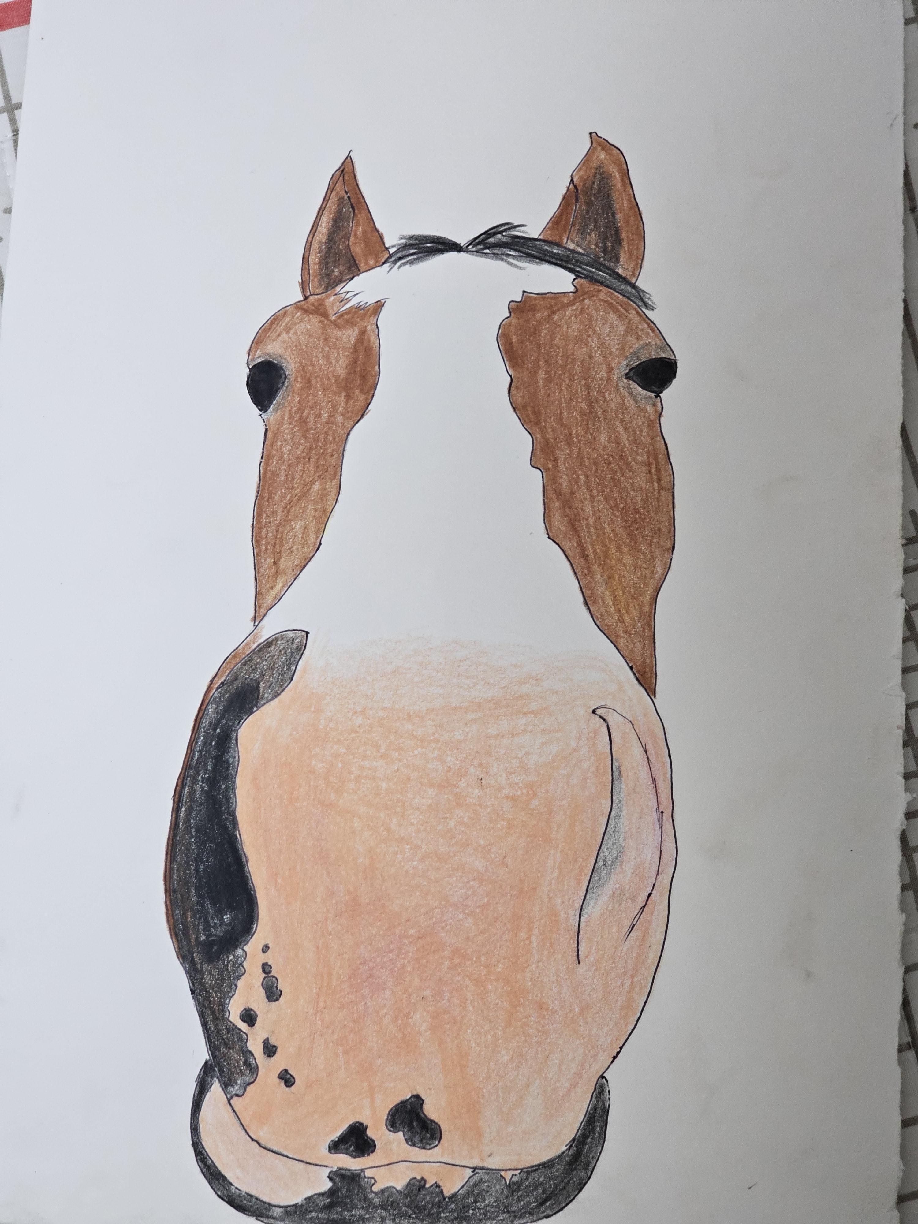 도토 그림