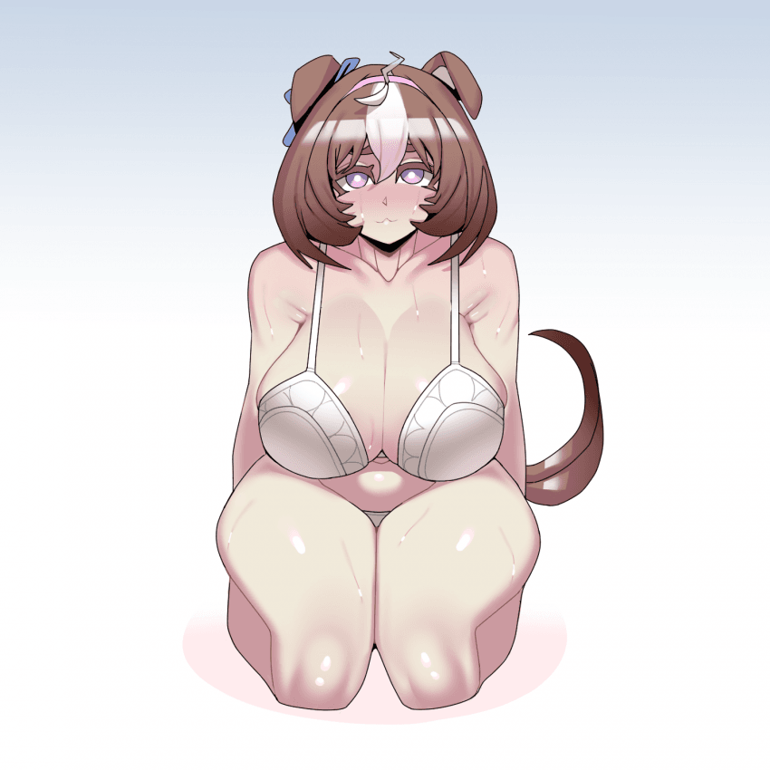 메이쇼 도토