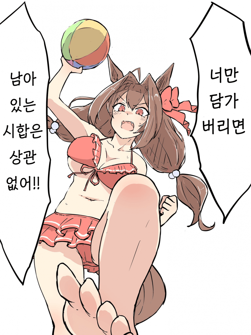 [ネコミミ好き之助] 해변의 다스카