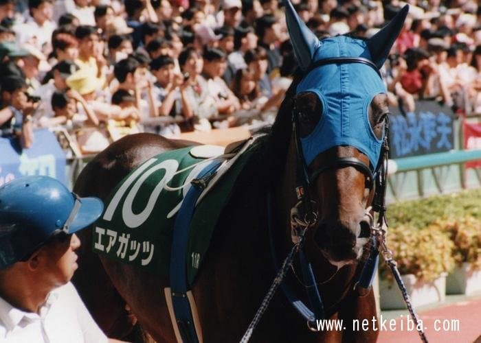 핫산)1997 야요이상 - 러닝 게일 / 스즈카는 아가야...