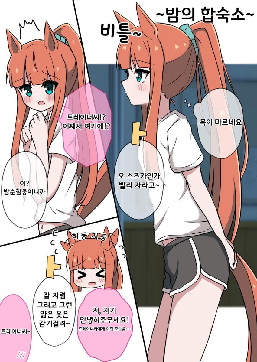 [ひまわり]밤의 합숙소 스즈카씨