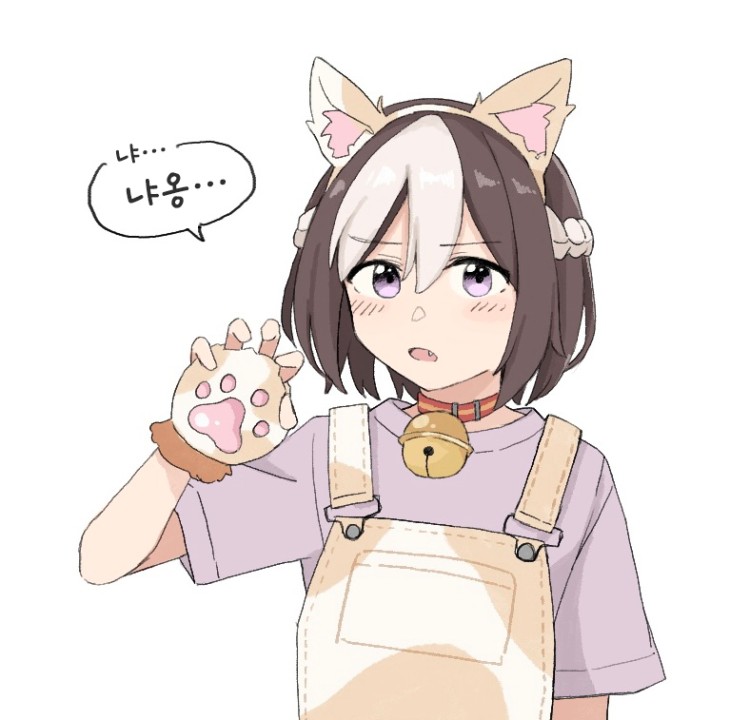 [ こたつ] 고양이 스페짱.