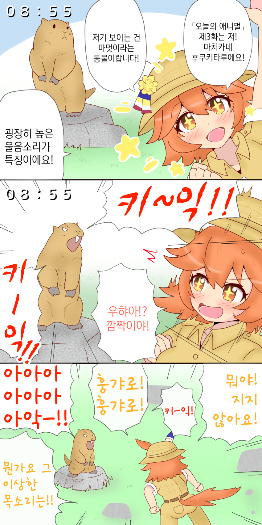 [オイコミー] 후쿠키타루와 마멋 군