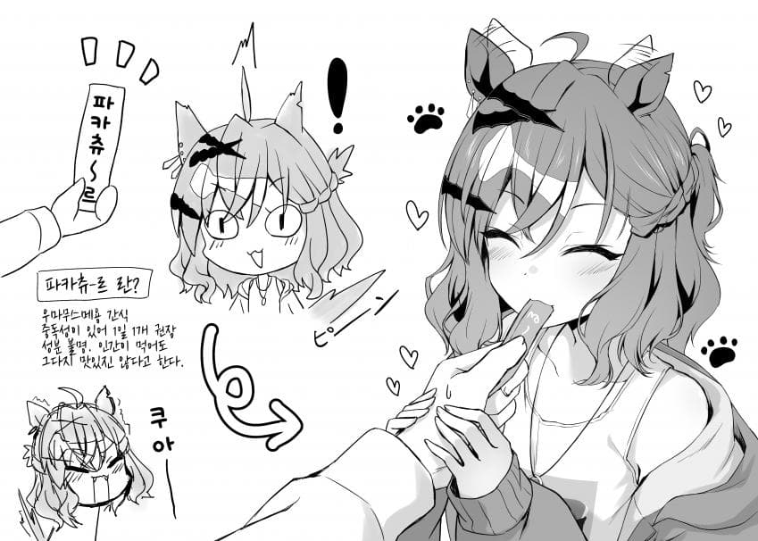 [りょちゃぷ]츄르 먹는 포켓