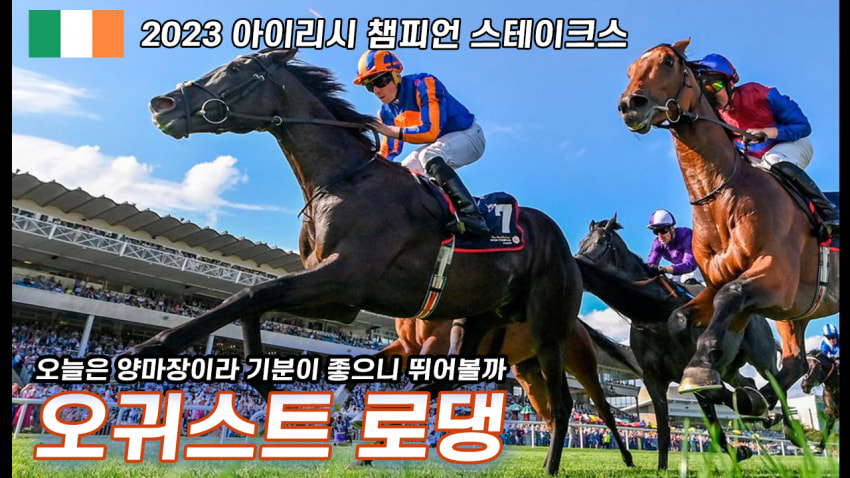핫산) 오귀스트 로댕 「이번엔 좀 뛰고 싶구나」-'23 아이리시 챔피언S