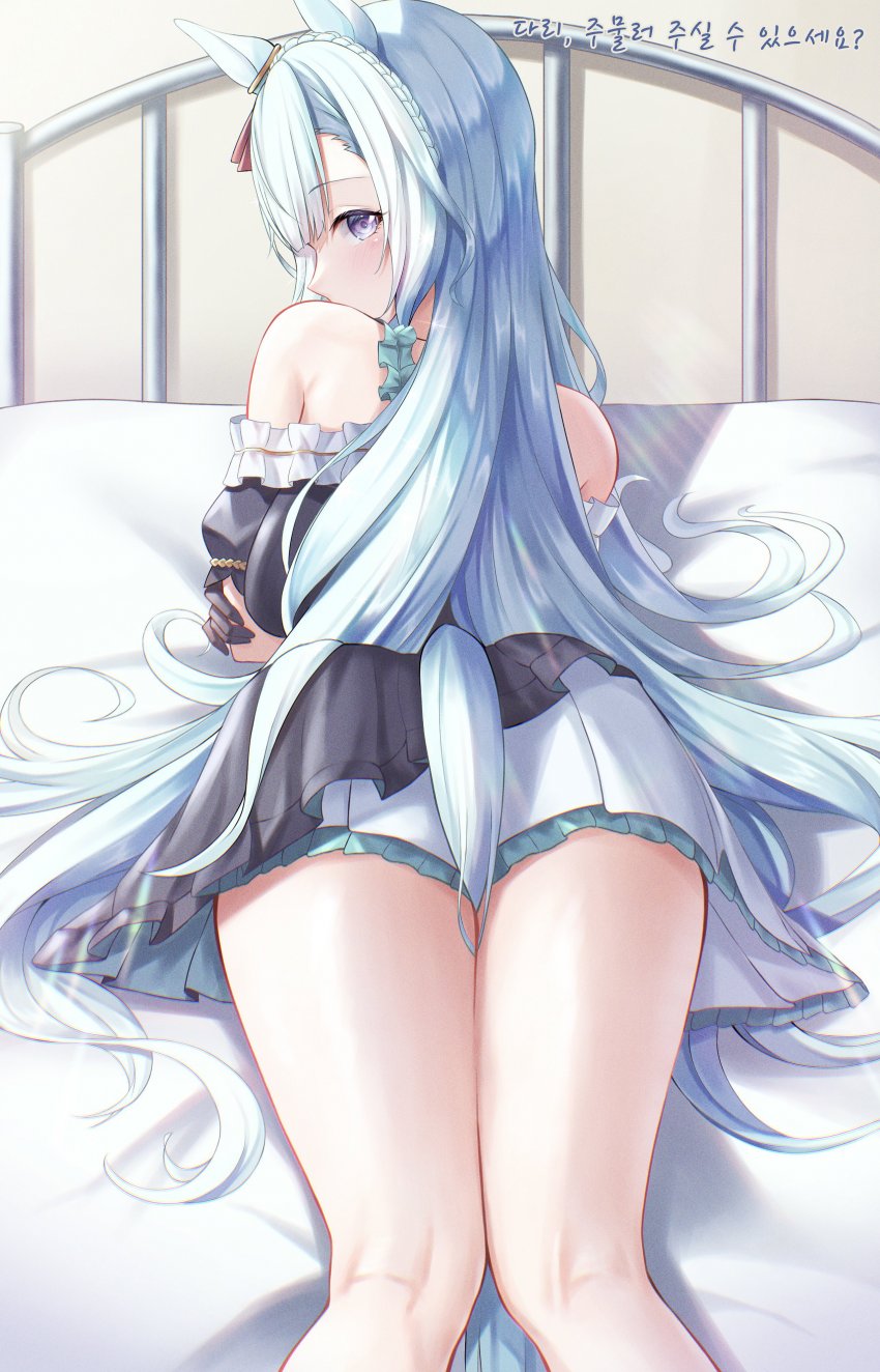 [七宮] 아르당의 아찔한 뒤태.
