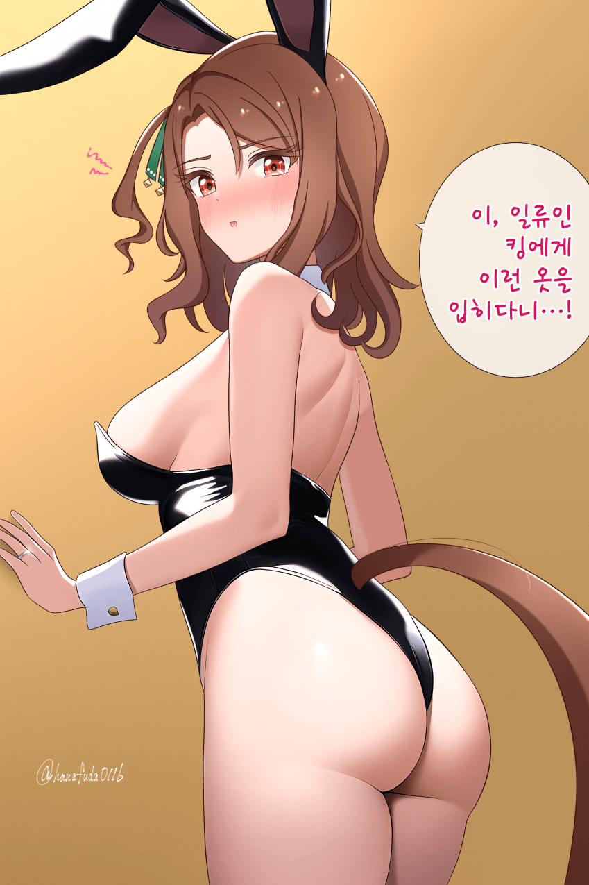 🎴 결국엔 바니걸 입어주는 킹 헤일로