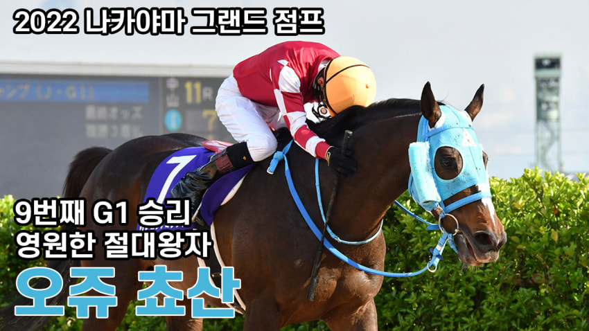 핫산) 오쥬 쵸산 「영원한 절대왕자」 - '22 나카야마 그랜드 점프