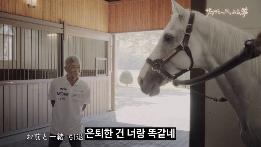 핫산) 골드 쉽 최신 근황 + 구무원 이마나미 씨