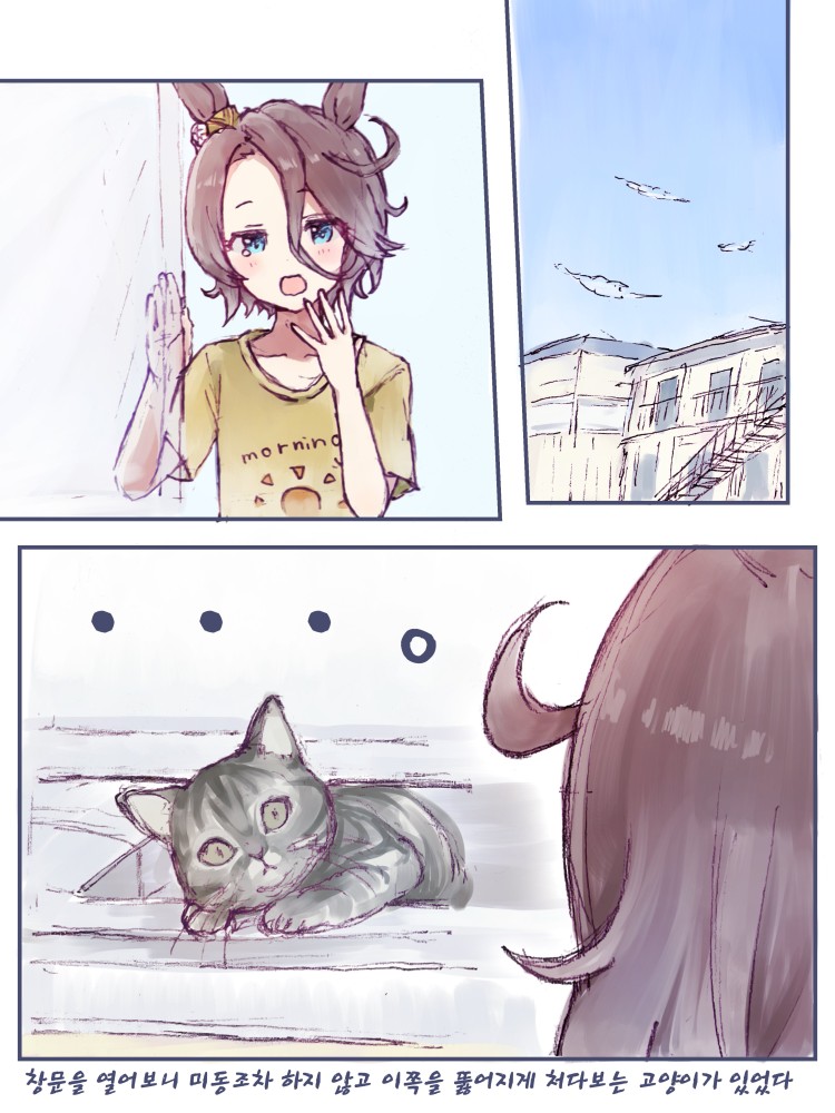 [甘﨑333] 고양이와 마주한 타이신.