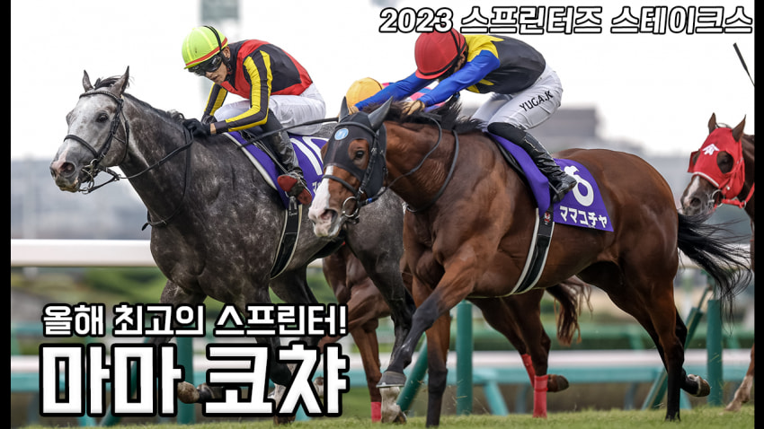 핫산) 마마 코챠 「마마 코챠의 코 차 승리!!」 - 23 스프린터즈 S