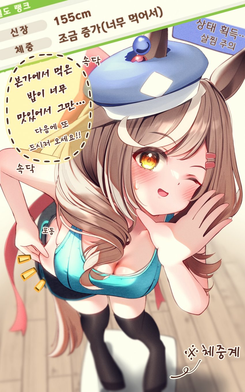 [ぽんたの毛玉] 본가에 다녀온 마치탄.