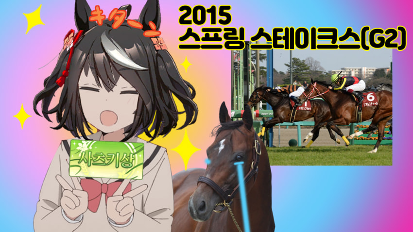 다음 경마 핫산 썸네일.png