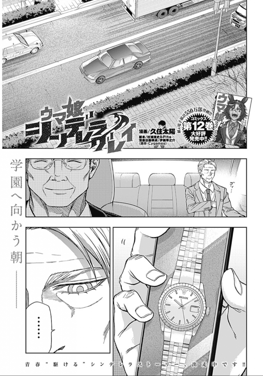 신데렐라 그레이 135R