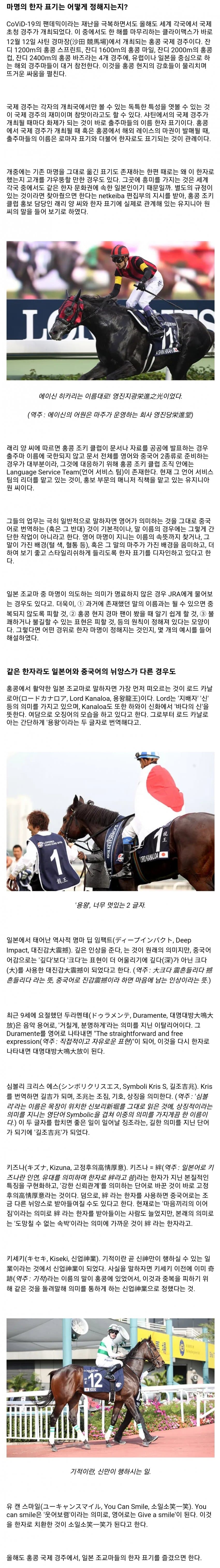 핫산) 경마 칼럼 - 홍콩의 경주마 이름 표기