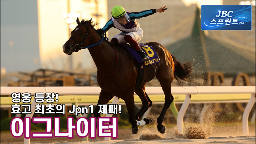 핫산) 이그나이터 -'23 JBC스프린트「효고의 영웅, 이곳에서 탄생!」
