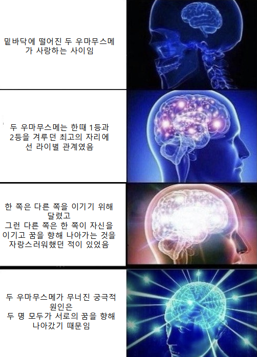 "로렐브라 꼴림 진화의 4단계"