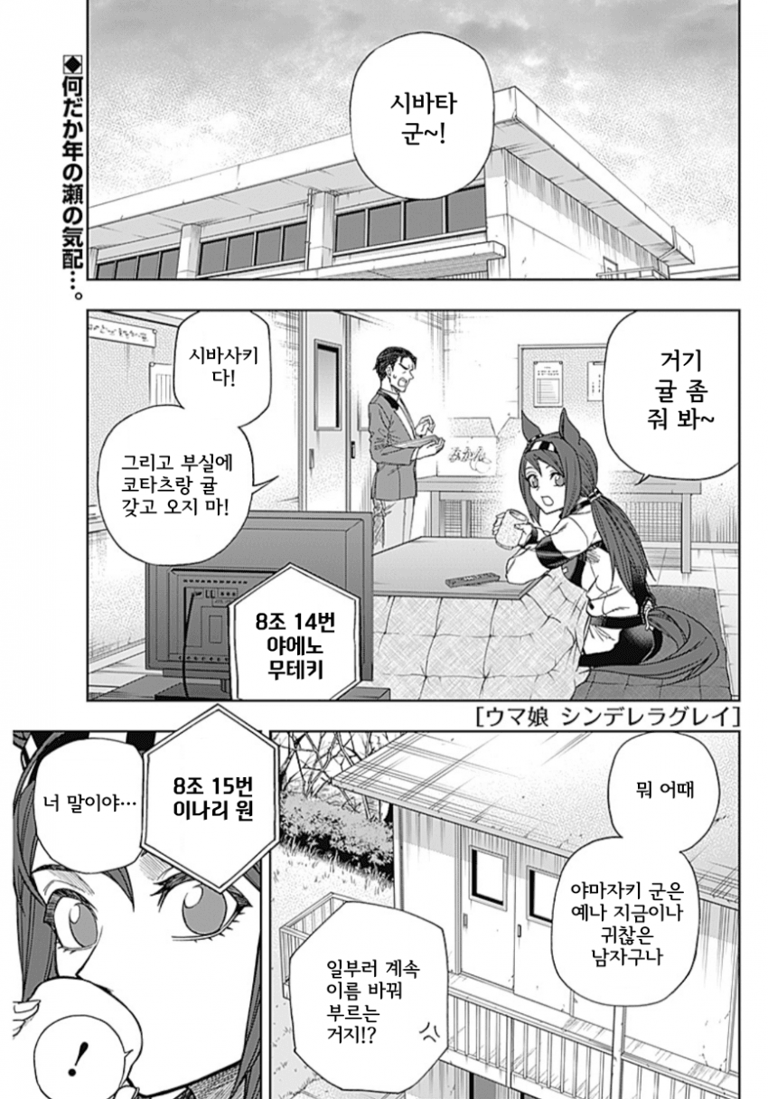 신데렐라 그레이 138R