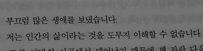 디시 다이스 스레) 원더월 갤러해드가 트레센에서 달릴 뿐인 이야기 14