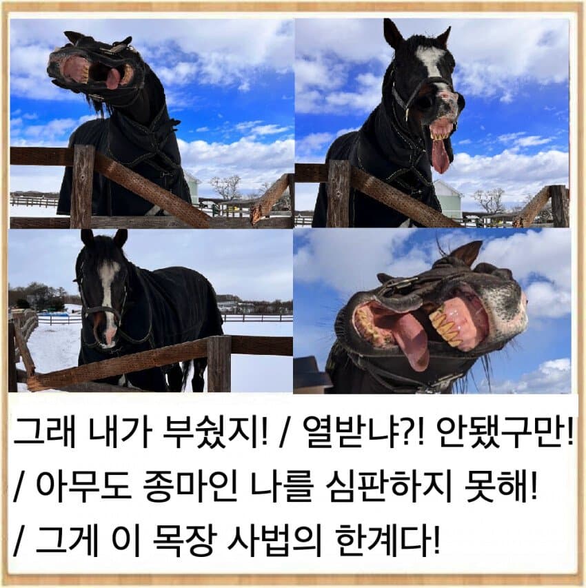 알기 전후가 다른짤