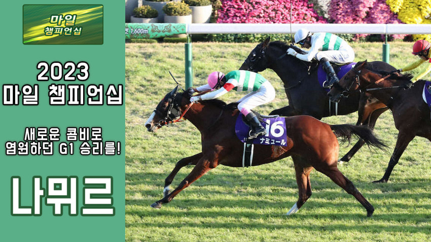 핫산) 나뮈르 - '23 마일 CS 「밑바닥에서 올라온 마일 챔피언」