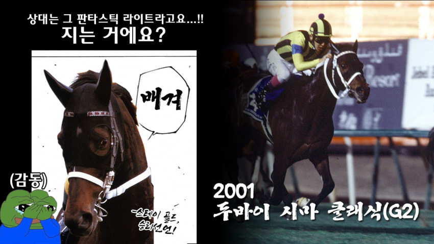 다음 경마 핫산 썸네일.png