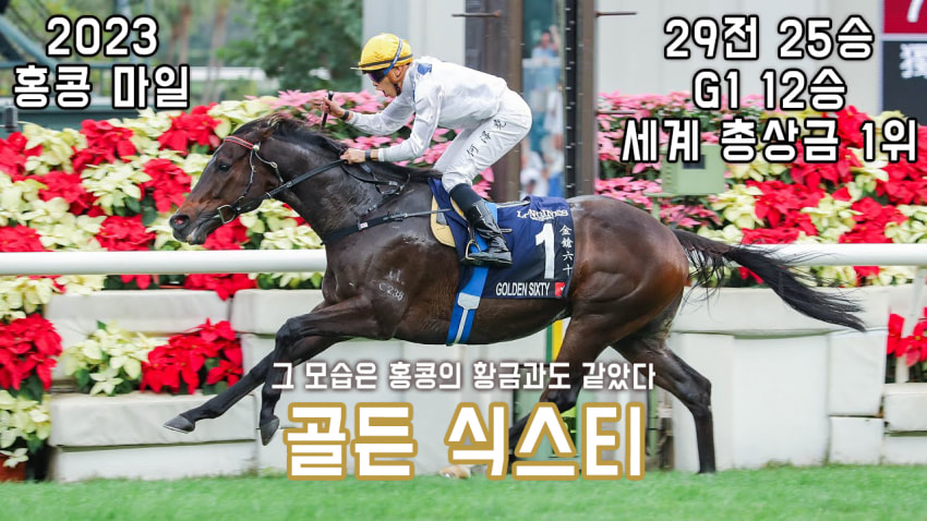 핫산) 골든 식스티 -'23 홍콩 마일 「그는 그야말로 홍콩의 황금」