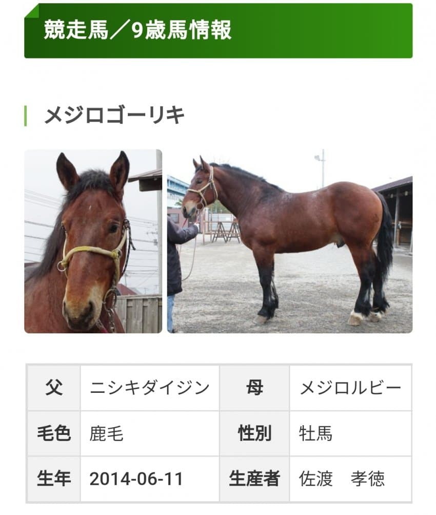 [괴문서] 반에이 메이드와 한심한 도련님