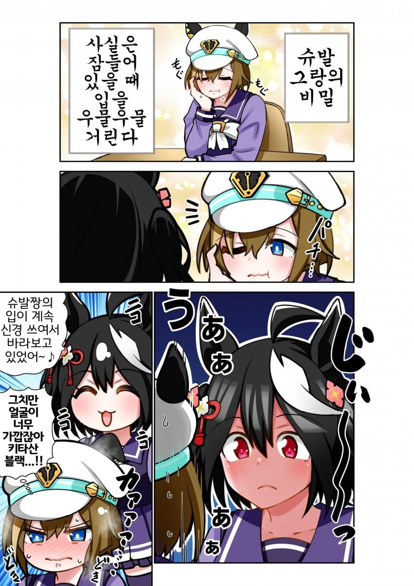 [荒森ラッコ]슈발짱의 비밀