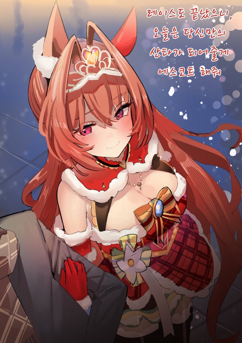 [Solokitsune] 아리마 기념 종료 후의 클스카.