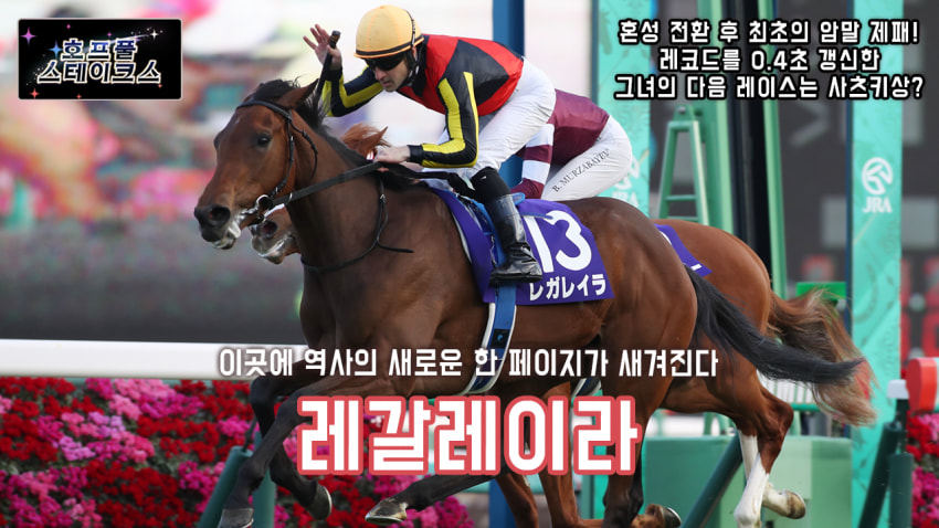 핫산) 레갈레이라 - '23 호프풀S 「역사의 한 페이지를 새겨나가며」
