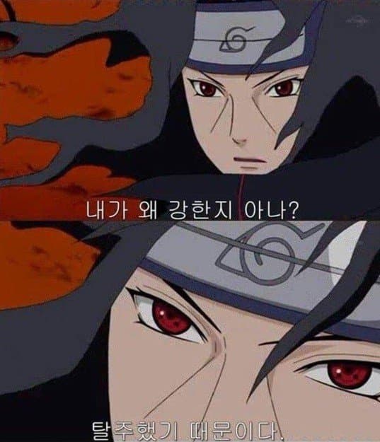 디시 다이스 스레) 나뭇잎의 보드카, 닌자 세계에서 진실을 찾자 11